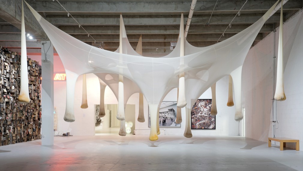Ernesto Neto, É ô Bicho!, 2001, Courtesy of Margullies Collection at the Warehouse